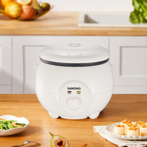 rice cooker anak kost murah